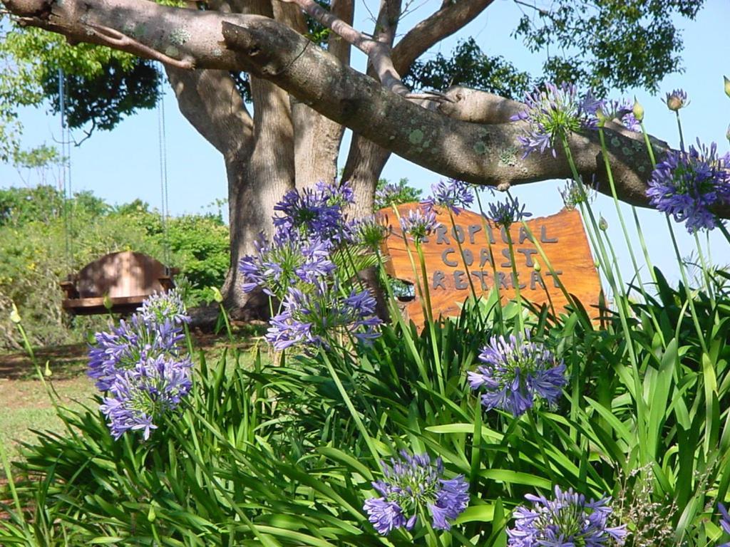 Tropical Coast Retreat - Pet Friendly - Adult Only Guest House Kingscliff Ngoại thất bức ảnh