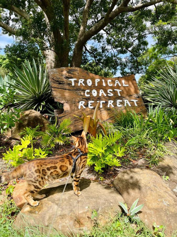 Tropical Coast Retreat - Pet Friendly - Adult Only Guest House Kingscliff Ngoại thất bức ảnh