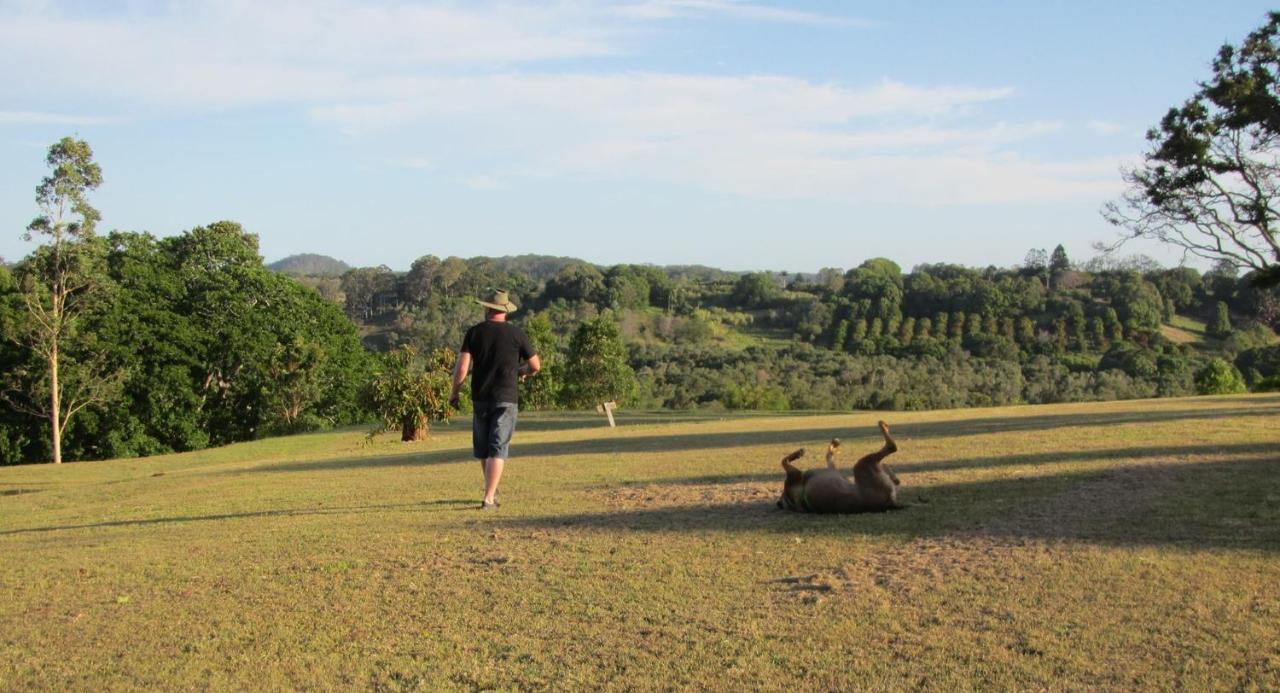 Tropical Coast Retreat - Pet Friendly - Adult Only Guest House Kingscliff Ngoại thất bức ảnh