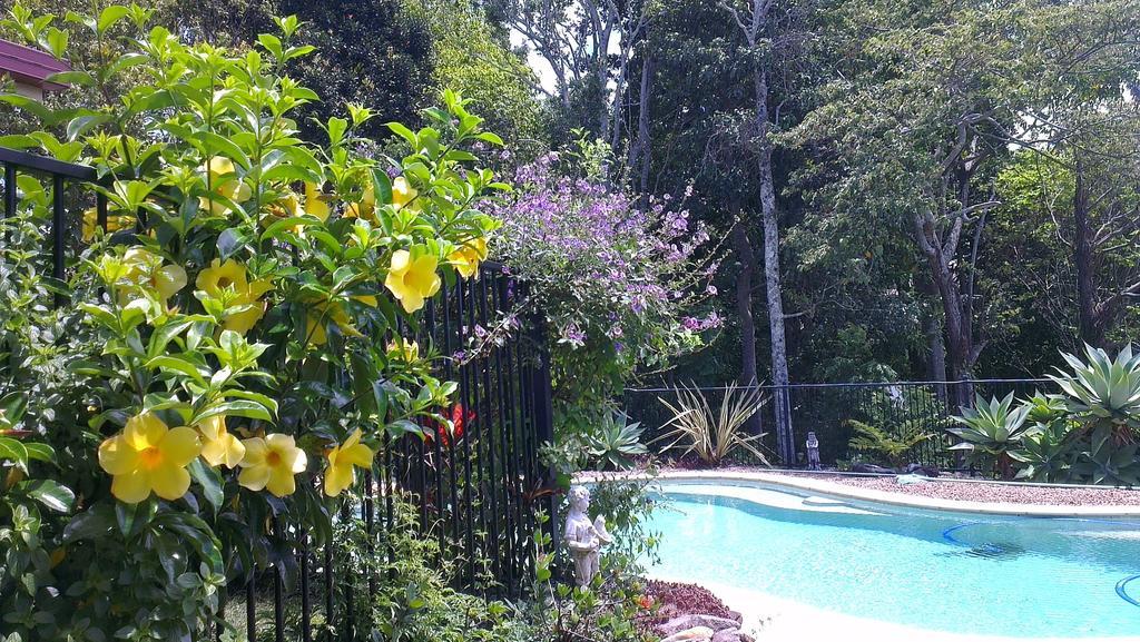 Tropical Coast Retreat - Pet Friendly - Adult Only Guest House Kingscliff Ngoại thất bức ảnh
