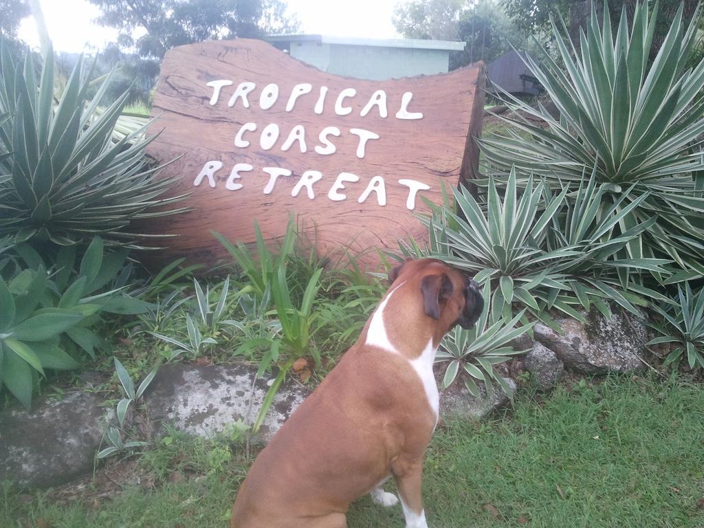 Tropical Coast Retreat - Pet Friendly - Adult Only Guest House Kingscliff Ngoại thất bức ảnh